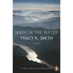 ISBN Wade in the Water book English Paperback 96 pages