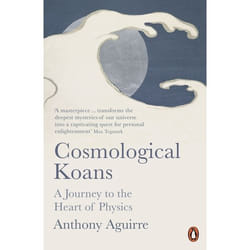 ISBN Cosmological Koans book English Paperback 400 pages