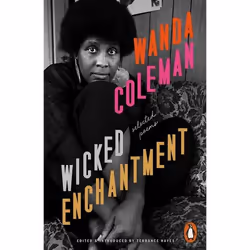 ISBN Wicked Enchantment, Poetry, English, Paperback, 288 pages
