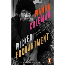ISBN Wicked Enchantment book Poetry English Paperback 288 pages