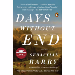 ISBN Days Without End, Fiction, English, Paperback, 272 pages