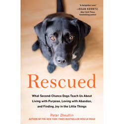 ISBN Rescued, Paperback, 256 pages