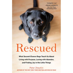 ISBN Rescued