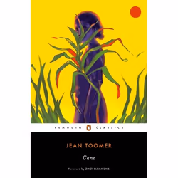 ISBN Cane, Poetry, English, 272 pages