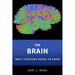 ISBN The Brain ( What Everyone Needs To Know ), English, Hardcover, 192 pages