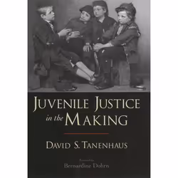 ISBN Juvenile Justice in the Making, English, Paperback, 264 pages