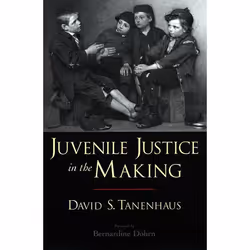 ISBN Juvenile Justice in the Making, English, Hardcover, 264 pages