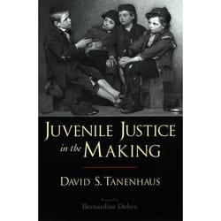 ISBN Juvenile Justice in the Making book English Hardcover 264 pages