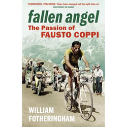 ISBN Fallen Angel book English Paperback 320 pages
