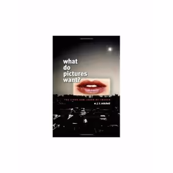 ISBN What Do Pictures Want? : The Lives and Loves of Images, English, Paperback, 408 pages