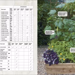 ISBN Grow All You Can Eat In Three Square Feet book House & garden English Hardcover 256 pages