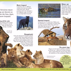 ISBN First Animal Encyclopedia book Children & teenagers English Paperback 168 pages