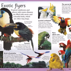 ISBN First Animal Encyclopedia book Children & teenagers English Paperback 168 pages
