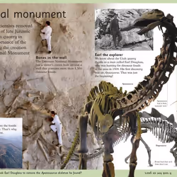 ISBN First Dinosaur Encyclopedia book Dinosaurs English Paperback 136 pages