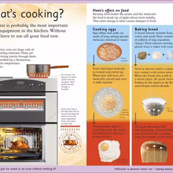 ISBN First How Things Work Encyclopedia book Reference & languages English Paperback 136 pages