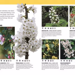ISBN The Bee book Science & nature English Hardcover 224 pages