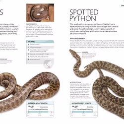 ISBN Snake book Educational English Paperback 200 pages