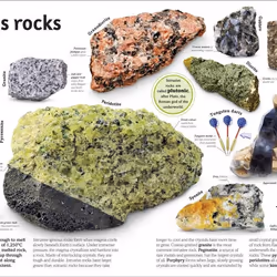 ISBN The Rock and Gem book Educational English Hardcover 192 pages