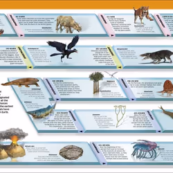 ISBN Knowledge Encyclopedia Animal! book Children & teenagers English Hardcover 288 pages