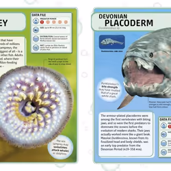 ISBN Sharks and Other Deadly Ocean Creatures book Children & teenagers English Hardcover 208 pages