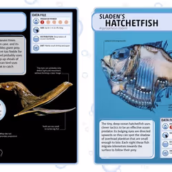 ISBN Sharks and Other Deadly Ocean Creatures book Children & teenagers English Hardcover 208 pages