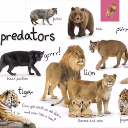 ISBN My First Zoo Let's Meet the Animals! book Children & teenagers English Hardcover 28 pages