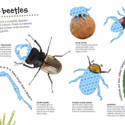 ISBN Bugs Ultimate Sticker book Children & teenagers English Paperback 32 pages
