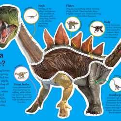 ISBN DKfindout! Dinosaurs book English Paperback 64 pages
