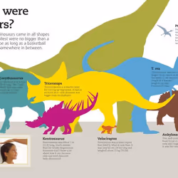 ISBN Utterly Amazing Dinosaur book Dinosaurs English Hardcover 32 pages
