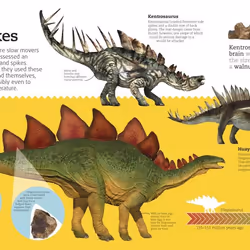 ISBN Utterly Amazing Dinosaur book Dinosaurs English Hardcover 32 pages