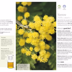 ISBN Neal's Yard Remedies Essential Oils book Health, mind & body English Hardcover 256 pages