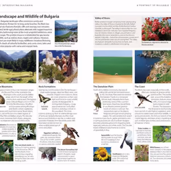 ISBN DK Eyewitness Bulgaria book Travel English Paperback 288 pages