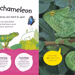 ISBN The Incredible Fold-Out of Animals book Children & teenagers English Hardcover 14 pages