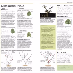 ISBN RHS Pruning & Training book House & garden English Hardcover 336 pages