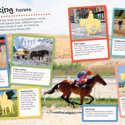 ISBN Horses and Ponies Ultimate Sticker book Children & teenagers English Paperback 32 pages