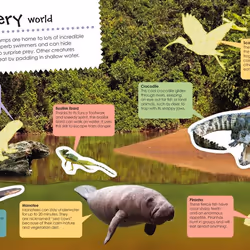 ISBN Jungle Ultimate Sticker book Educational English Paperback 32 pages
