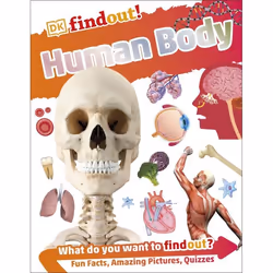 ISBN DKfindout! Human Body, Biology, English, Paperback, 64 pages