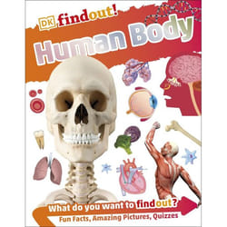 ISBN DKfindout! Human Body book Biology English Paperback 64 pages