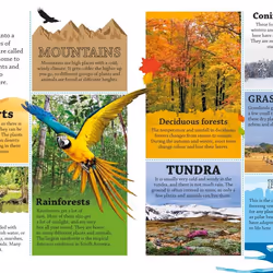 ISBN DKfindout! Earth book Educational English Paperback 64 pages