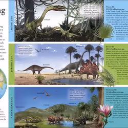 ISBN Dinosaurs A Children's Encyclopedia book English Hardcover 304 pages