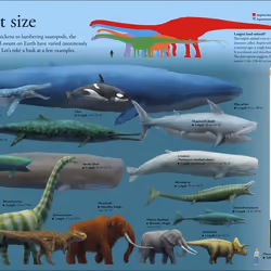 ISBN Dinosaurs A Children's Encyclopedia book English Hardcover 304 pages