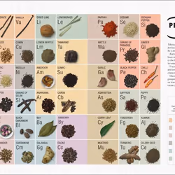 ISBN The Science of Spice book Food & drink English Hardcover 224 pages