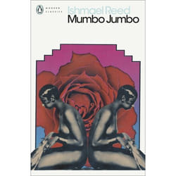 ISBN Mumbo Jumbo book English Paperback 224 pages