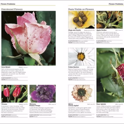 ISBN RHS Pests & Diseases book House & garden English Hardcover 224 pages