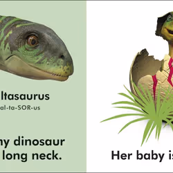 ISBN Baby Touch and Feel Baby Dinosaur book Children & teenagers English Hardcover 14 pages