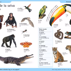 ISBN First Spanish Dictionary book Reference & languages English Paperback 128 pages