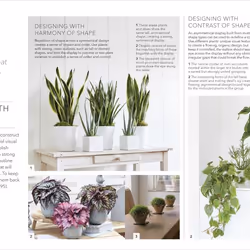 ISBN RHS Practical House Plant book House & garden English Hardcover 224 pages