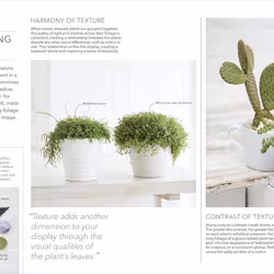 ISBN RHS Practical House Plant book House & garden English Hardcover 224 pages