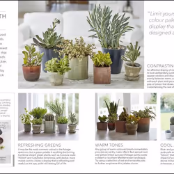 ISBN RHS Practical Cactus and Succulent book House & garden English Hardcover 224 pages