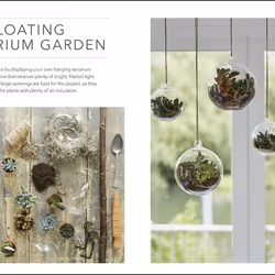 ISBN RHS Practical Cactus and Succulent book House & garden English Hardcover 224 pages